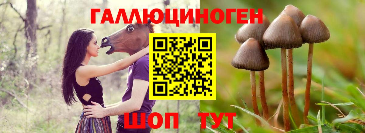 Галлюциногенные грибы Psilocybe  Вход с VPN  Уссурийск 